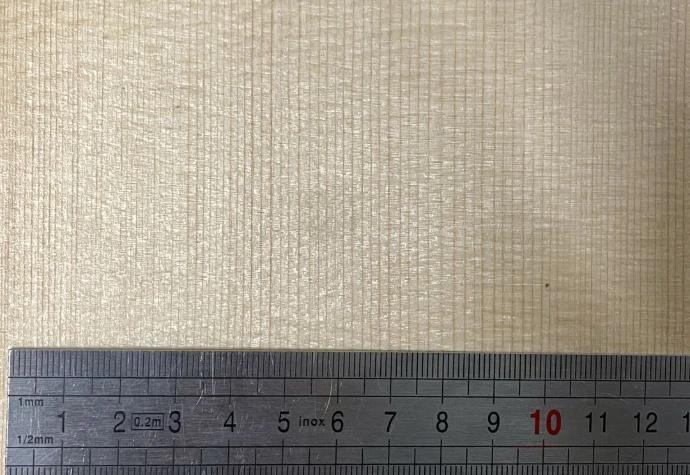 Violin Spruce Showing Anual Rings used for Dendrochronology