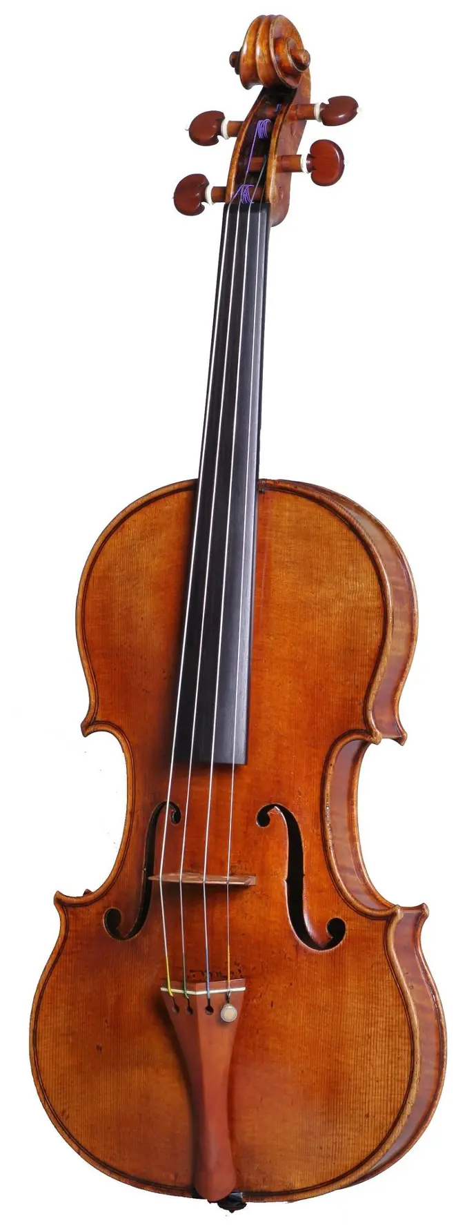 Violin Strad Betts