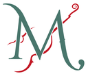 Choosing the Right Violin Size for Your Child