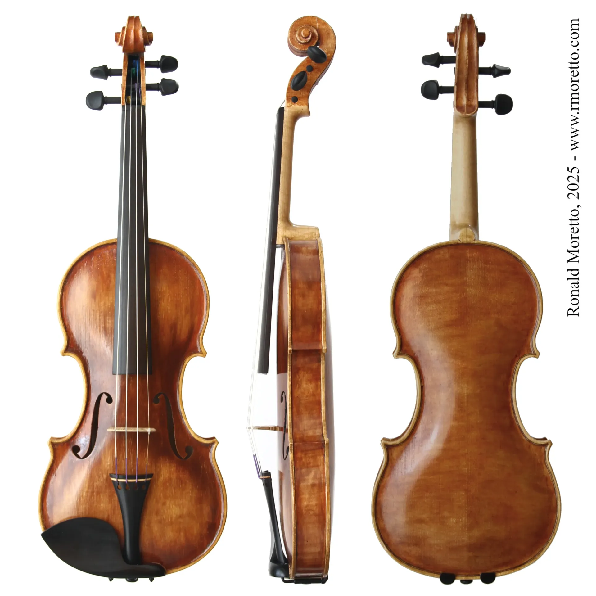 [VN2501] Violino Moretto Sirius 2025