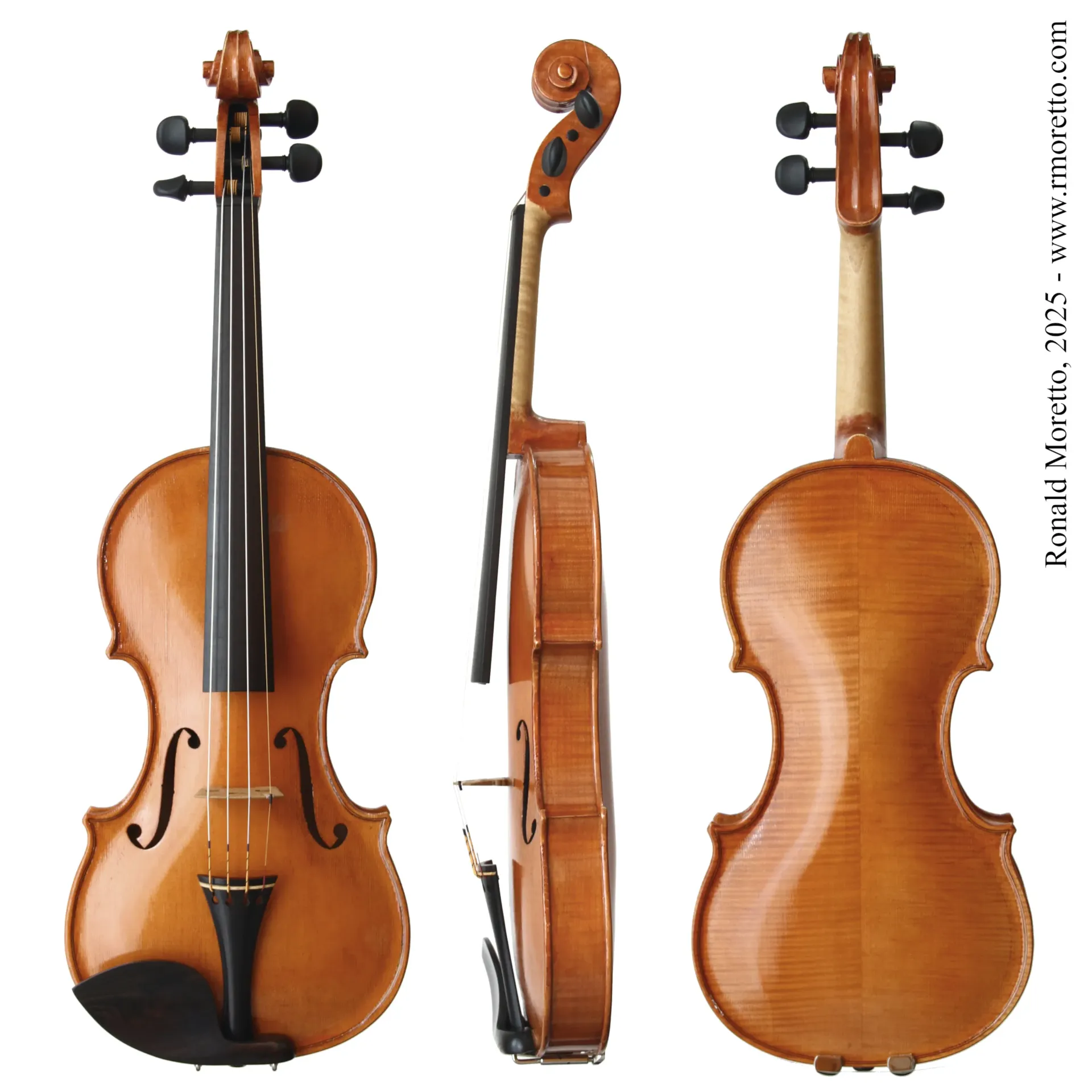 Deneb Moretto Violin 2025