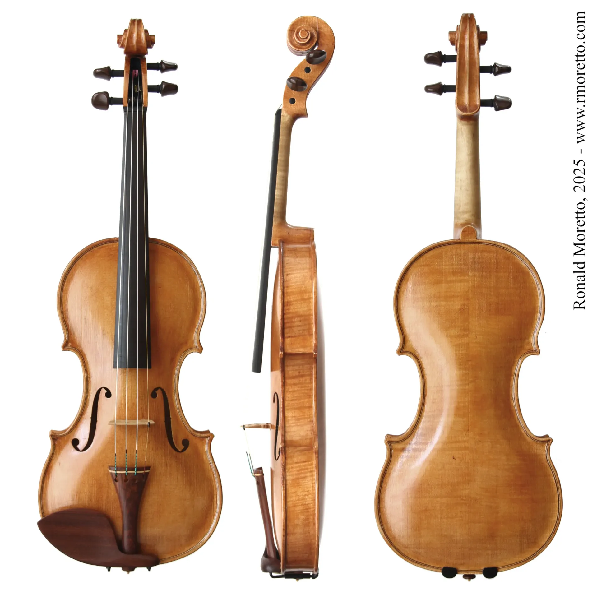 [VN2502] Vega Moretto Violin 2025